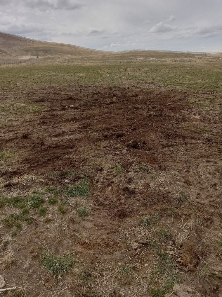 Backfilled trench running across a pasture with hills in the distance
